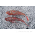 Κατεψυγμένες ουρές Monkfish με δέρμα